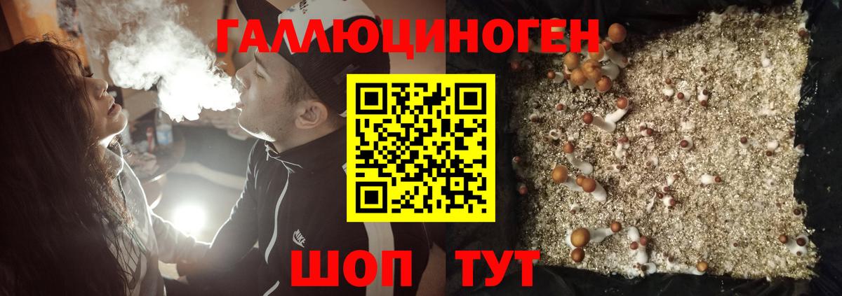 Псилоцибиновые грибы Psilocybine cubensis Комсомольск-на-Амуре